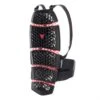 Dorsale Dainese Pro-Armor Back Long 2.0